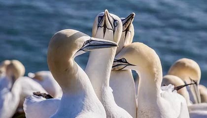 沙巴体育-星空体育首页，点亮你的运动新生活