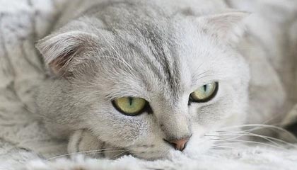 沙巴体育-星空体育首页,点亮你的运动新生活